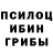 Псилоцибиновые грибы Psilocybine cubensis acidrainxd