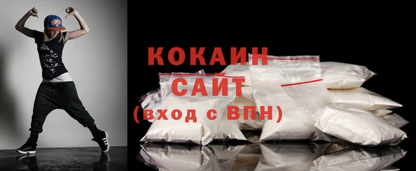 мдпв Новозыбков