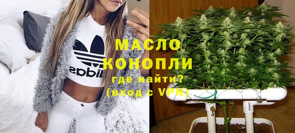 мдпв Новозыбков