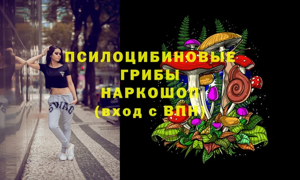 первитин Новодвинск