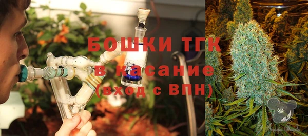 первитин Новодвинск