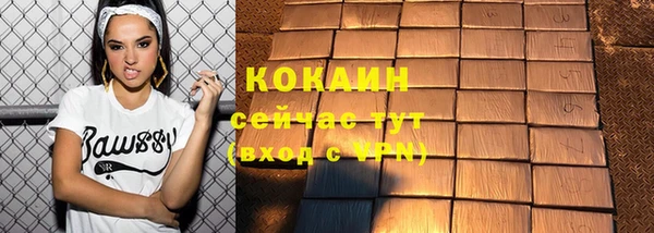 мдпв Новозыбков