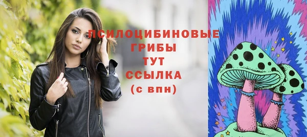 первитин Новодвинск