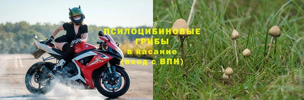мдпв Новозыбков