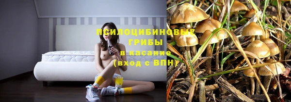 jwh Новокубанск