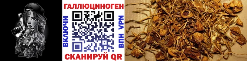 продажа наркотиков  Бавлы  Галлюциногенные грибы ЛСД 